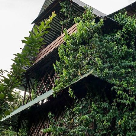 Paraiso Ayahuasca Hotel & Tours Puerto Narino Ngoại thất bức ảnh