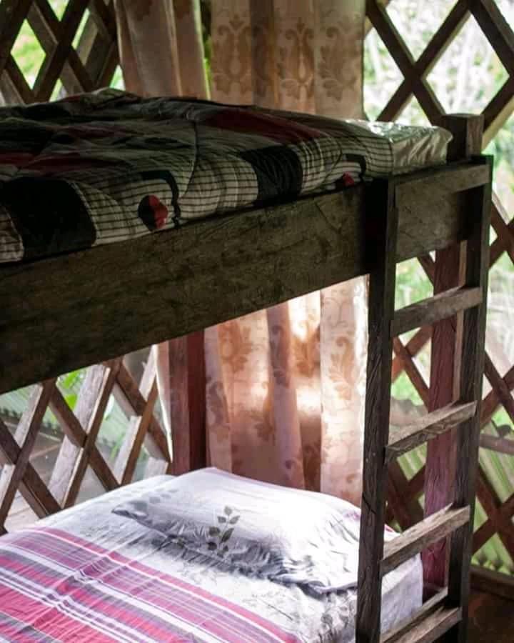 Paraiso Ayahuasca Hotel & Tours Puerto Narino Ngoại thất bức ảnh