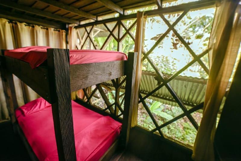 Paraiso Ayahuasca Hotel & Tours Puerto Narino Ngoại thất bức ảnh