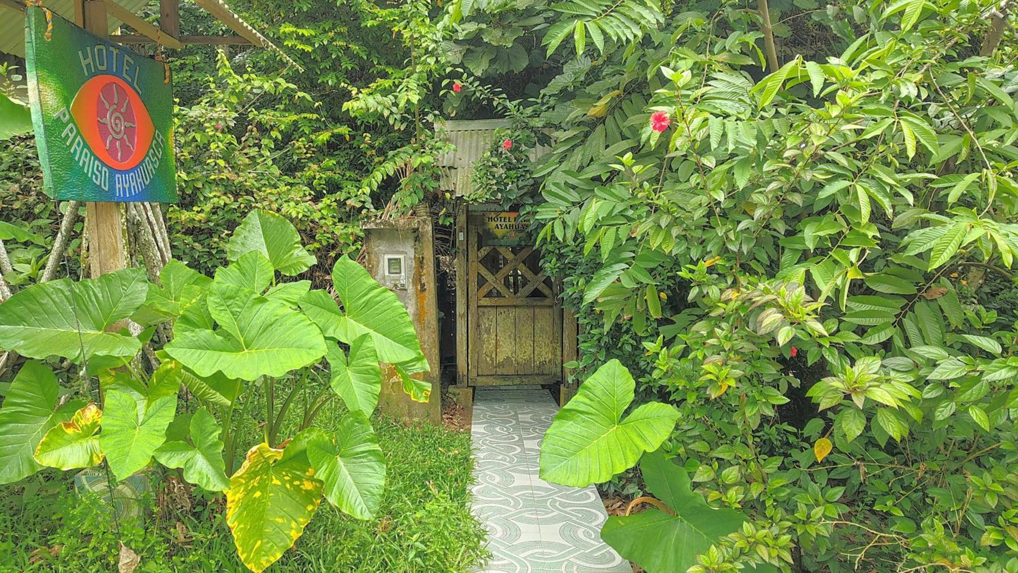 Paraiso Ayahuasca Hotel & Tours Puerto Narino Ngoại thất bức ảnh