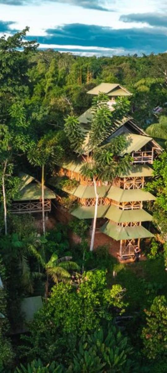 Paraiso Ayahuasca Hotel & Tours Puerto Narino Ngoại thất bức ảnh