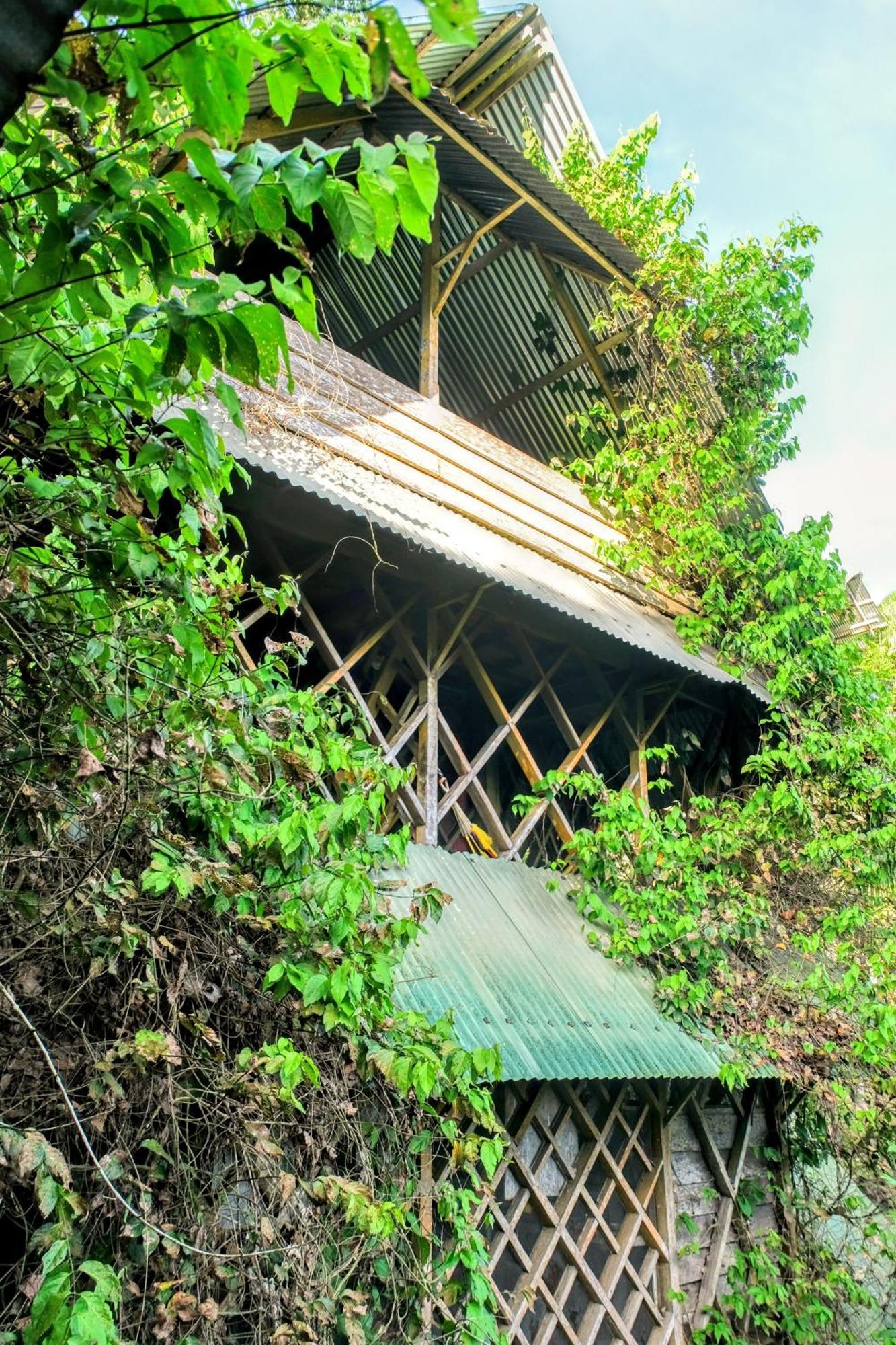 Paraiso Ayahuasca Hotel & Tours Puerto Narino Ngoại thất bức ảnh