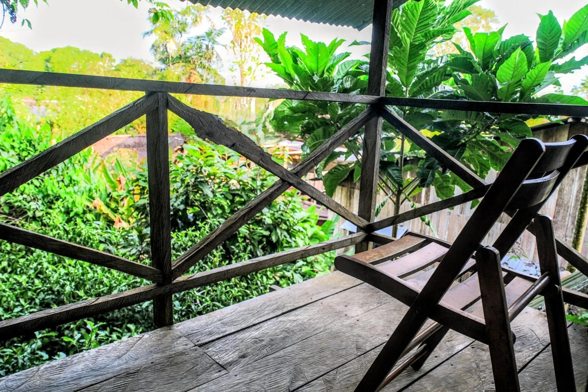 Paraiso Ayahuasca Hotel & Tours Puerto Narino Ngoại thất bức ảnh