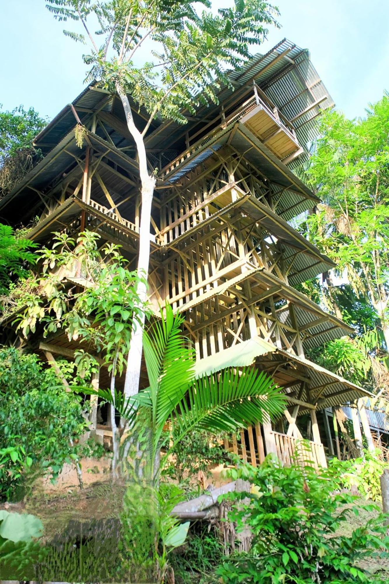 Paraiso Ayahuasca Hotel & Tours Puerto Narino Ngoại thất bức ảnh