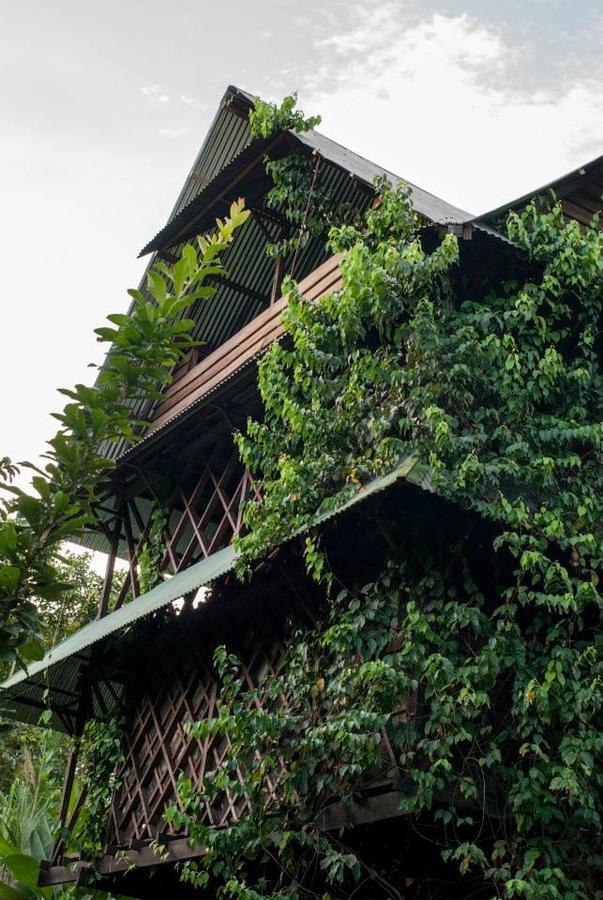 Paraiso Ayahuasca Hotel & Tours Puerto Narino Ngoại thất bức ảnh