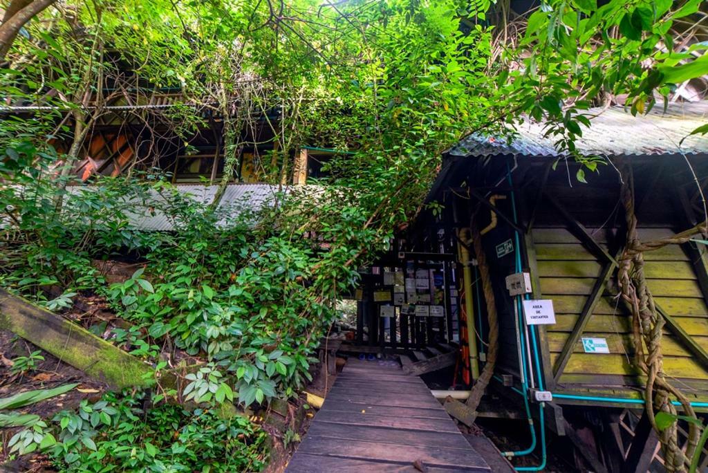 Paraiso Ayahuasca Hotel & Tours Puerto Narino Ngoại thất bức ảnh